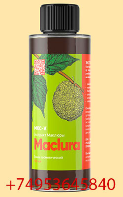  λ :  (Maclura), 100 